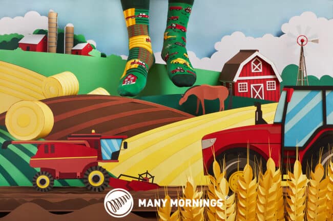 Boerderij Sokken - Many Mornings - Happy Harvest