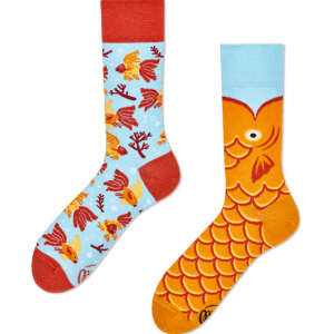vissen sokken - The Wishfish - Many Mornings